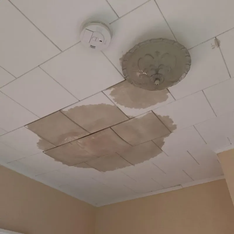 Ceiling Water Damage Repair in Barling, AR