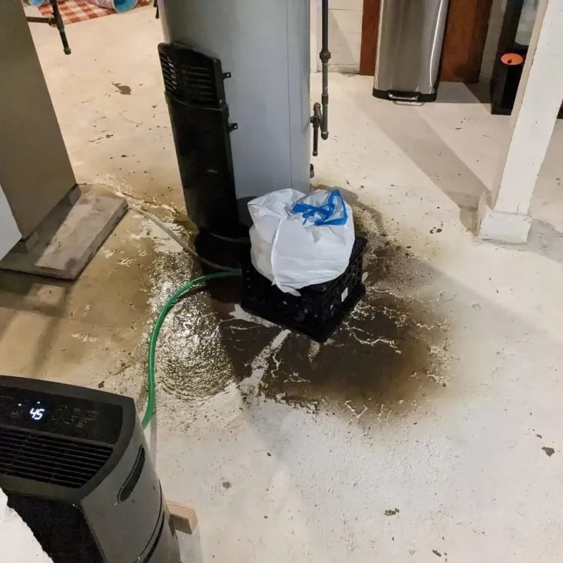 Sewage Backup Cleanup Service in Barling, AR